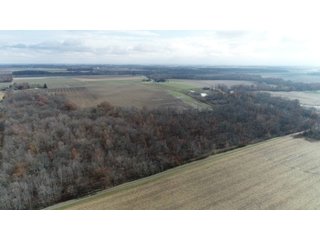 Property photo 11 - OHIO DAIRY AUCTION - 193+/- ACRES IN 4 TRACTS IN PUTNAM COUNTY, OHIO